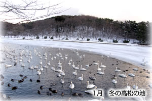 1月 冬の高松の池