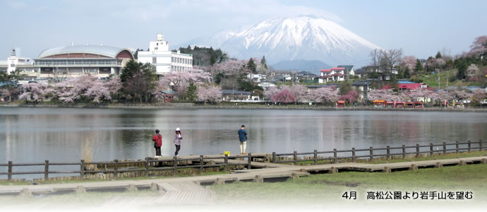 水と桜と岩手山、高松公園のベストビューポイントより