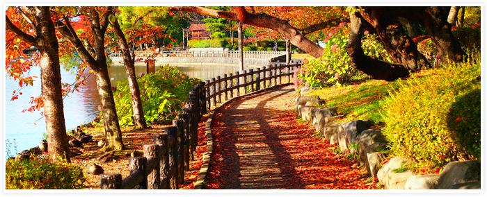 夏の高松公園